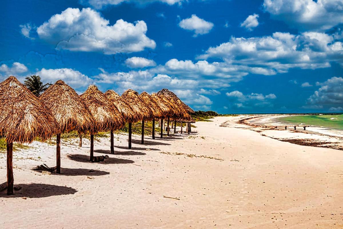 Beachfront Apartment Hacienda Dإل كويو المظهر الخارجي الصورة