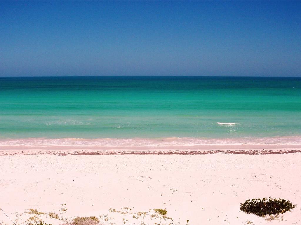 Beachfront Apartment Hacienda Dإل كويو المظهر الخارجي الصورة