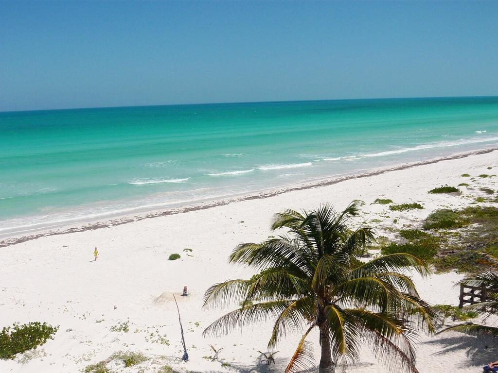Beachfront Apartment Hacienda Dإل كويو المظهر الخارجي الصورة